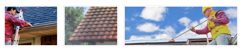 Pentre Maelor roof cleaning costs